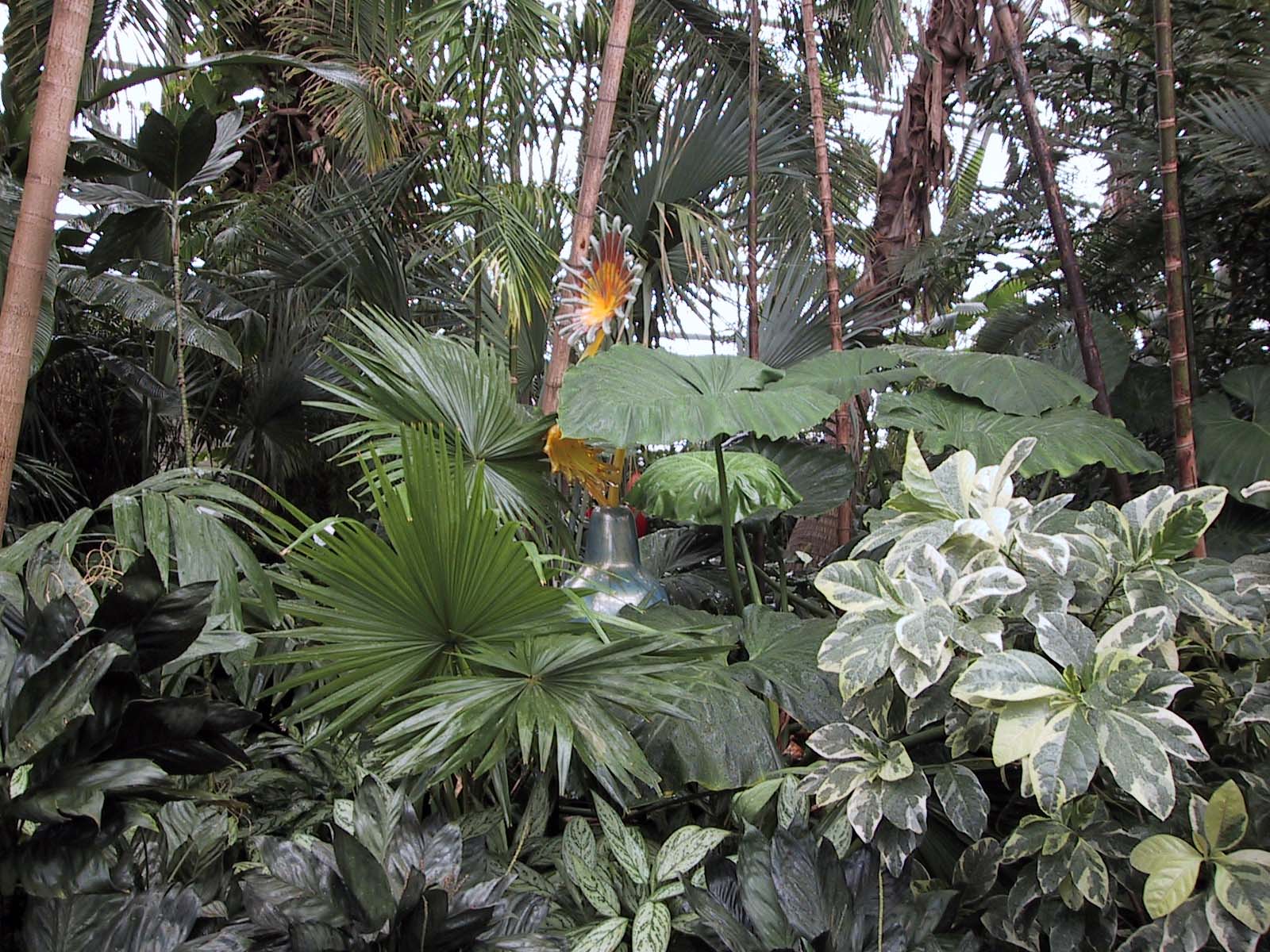 From the Chihuly in the Park: A Garden of Glass at Garfield Park, Chicago