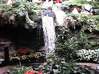 small waterfall in garden