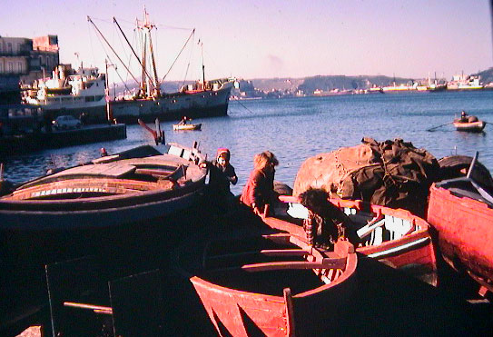 Fishing fleet at Pozzuli