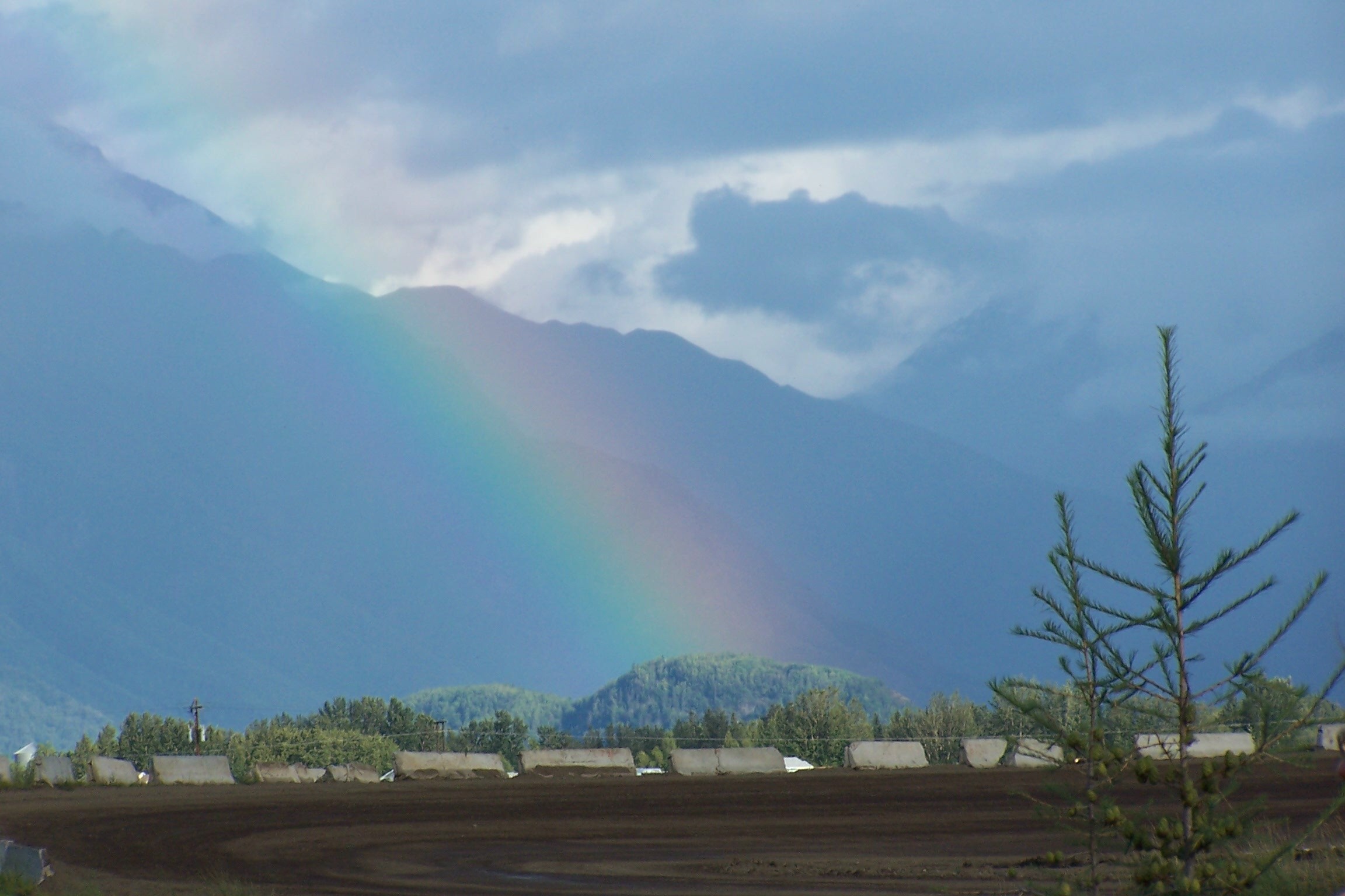 Rainbow Over Palmer