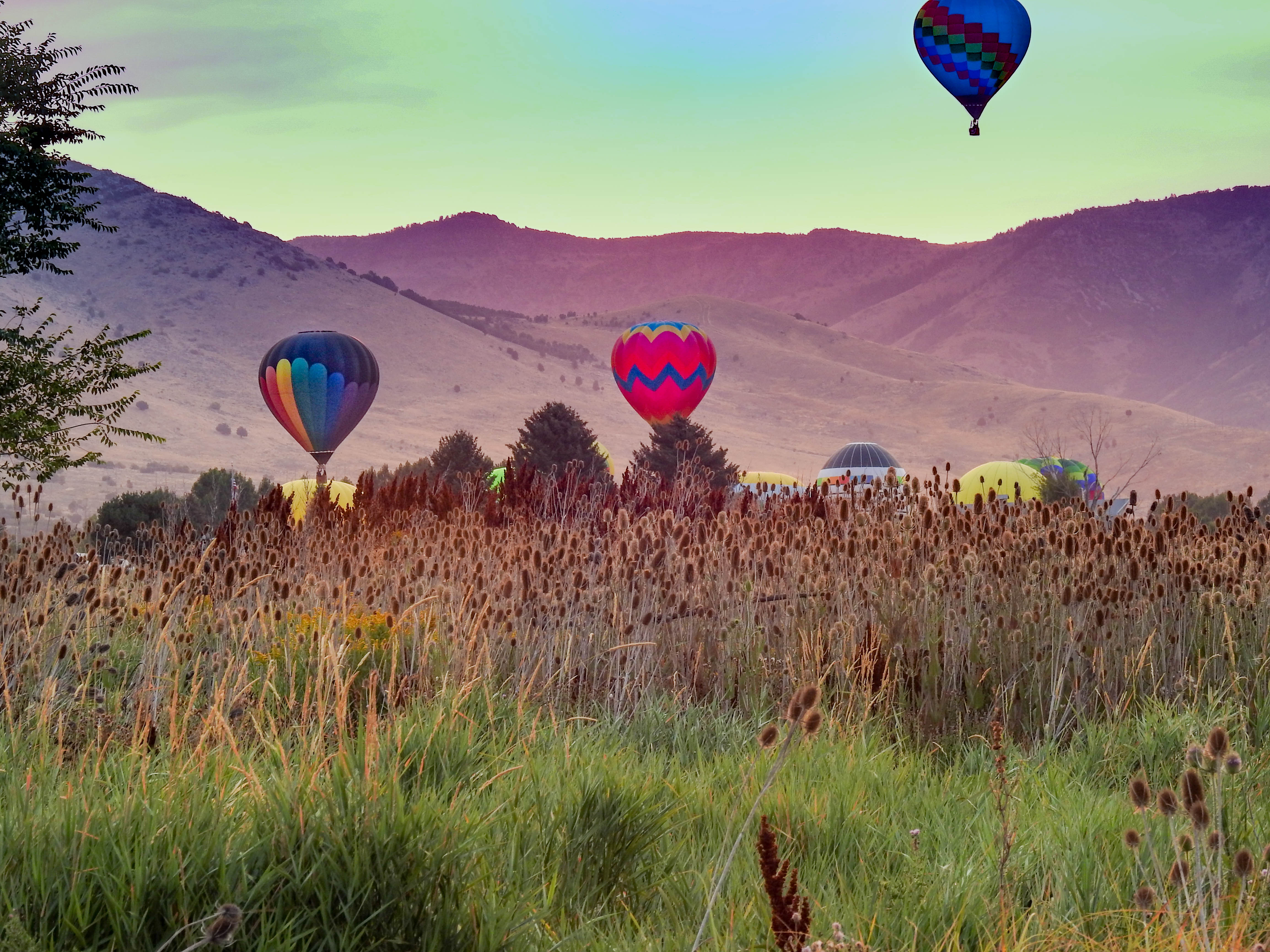 Hot Air Balloons