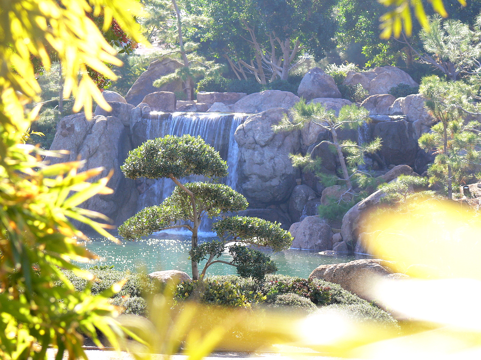 Phoenix AZ Ro Ho En Japanese Friendship Garden 50990.JPG