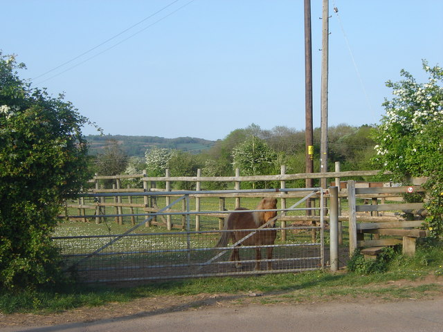 Footpath, fences, and friend - geograph.org.uk - 419103.jpg