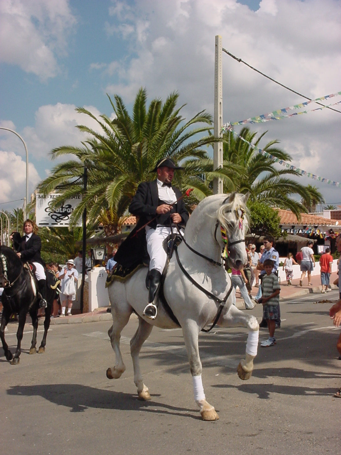 insektokutor horse show horses public rider