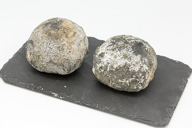 Fichier:WikiCheese - Truffe de Ventadour 06.jpg - Wikipédia