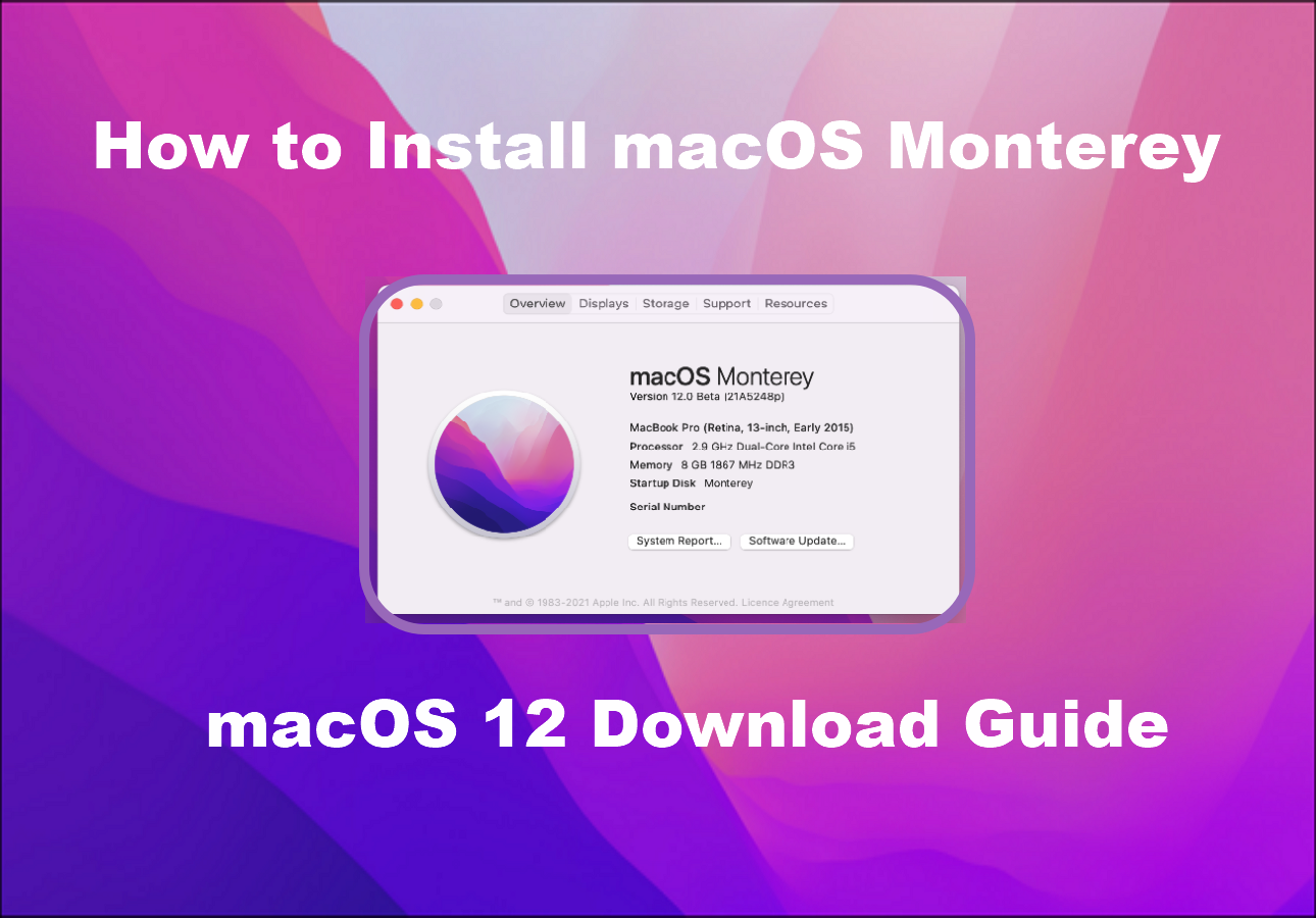 How to Install macOS Monterey [Step-by-Step Guide] - EaseUS