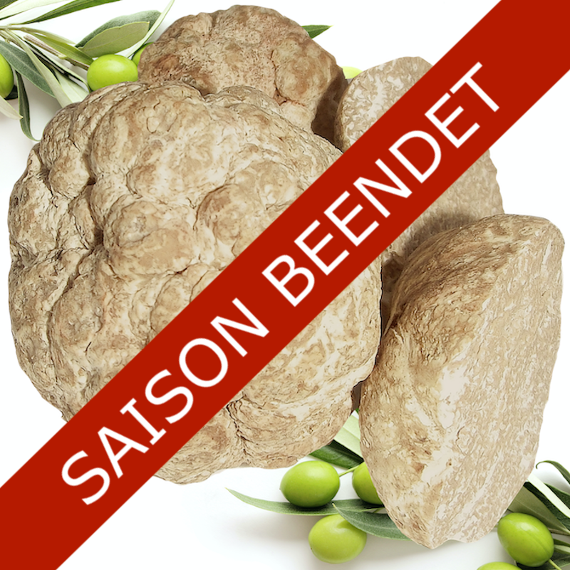 Frische Bianchetti-Trüffel - Tuber Borchii vitt. 100g ...