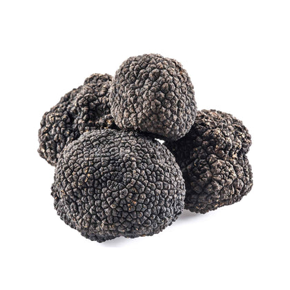 Truffes noires d'hiver, Australian Tuber Melanosporum