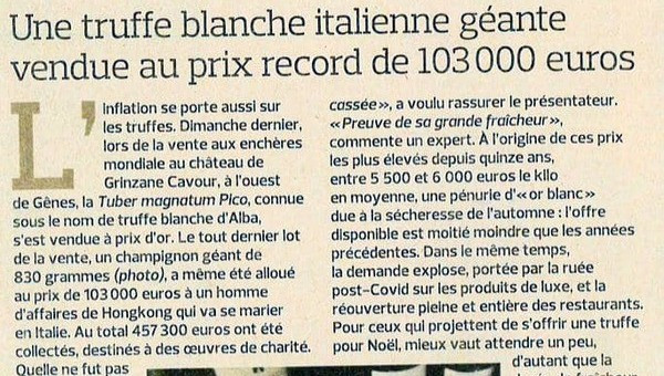 Une truffe blanche italienne géante vendue au prix record de 103 000 €