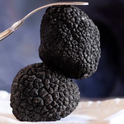 Truffe noire du Périgord : acheter des truffes en ligne