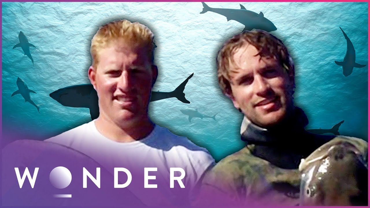 Group Of Friends Survive A Deadly Shark Attack - Fight To Survive - Wonder