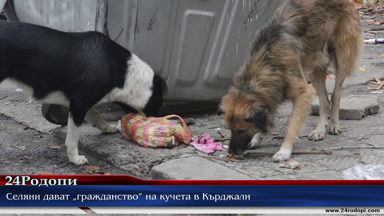 Селяни дават „гражданство