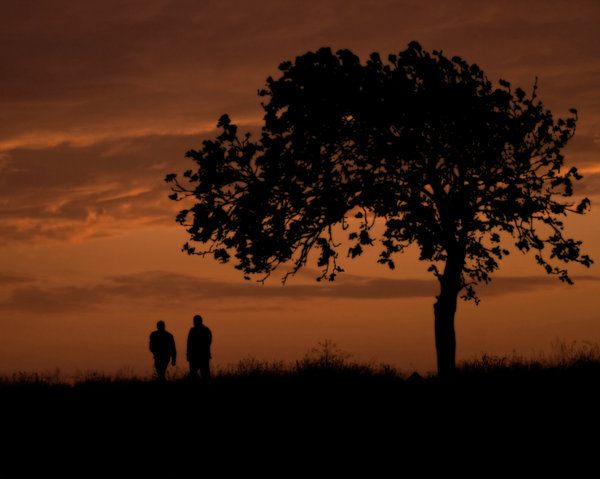 Sunset Stroll