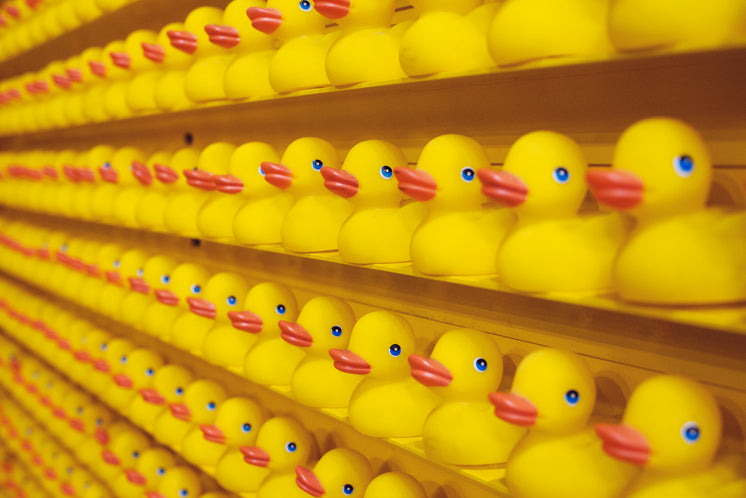 Wall Lined With Hunreds Of Rubber Ducks