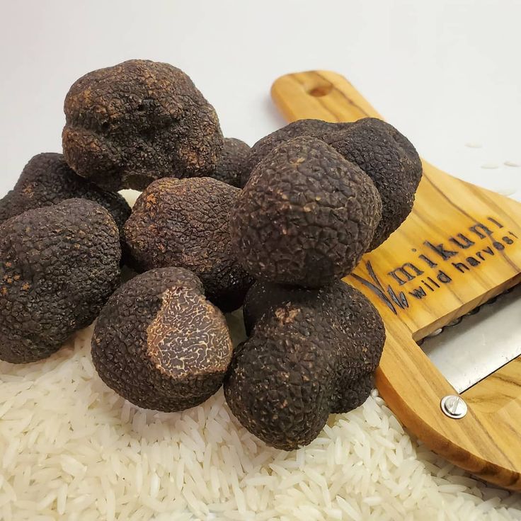 FRESH BLACK WINTER TRUFFLE Tuber melanosporum Also Known As: Perigord Truffle, Périgord Truffle, The Black Diamond o… - Epicurean, Black truffle, Chocolate cookie