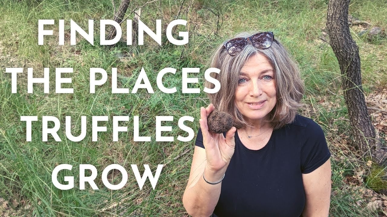 Searching for the Places Where Truffles Grow