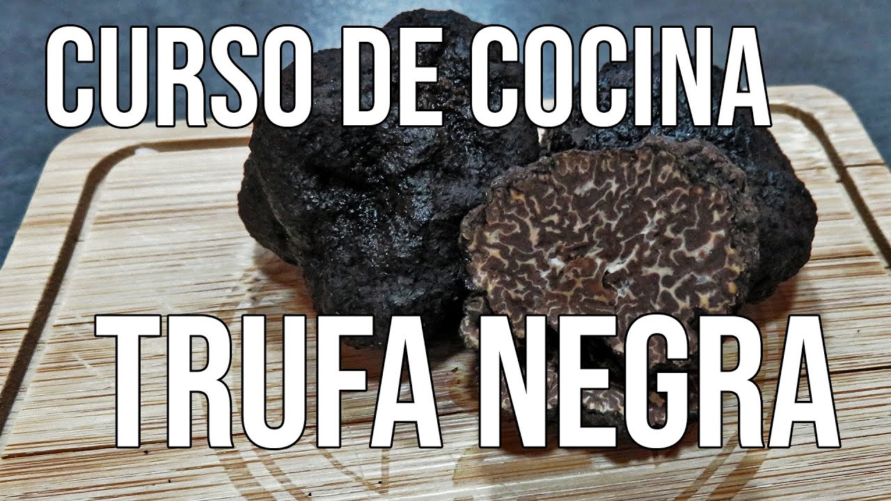 Curso Básico de Cocina - Capítulo XX - Trufa Negra de Invierno