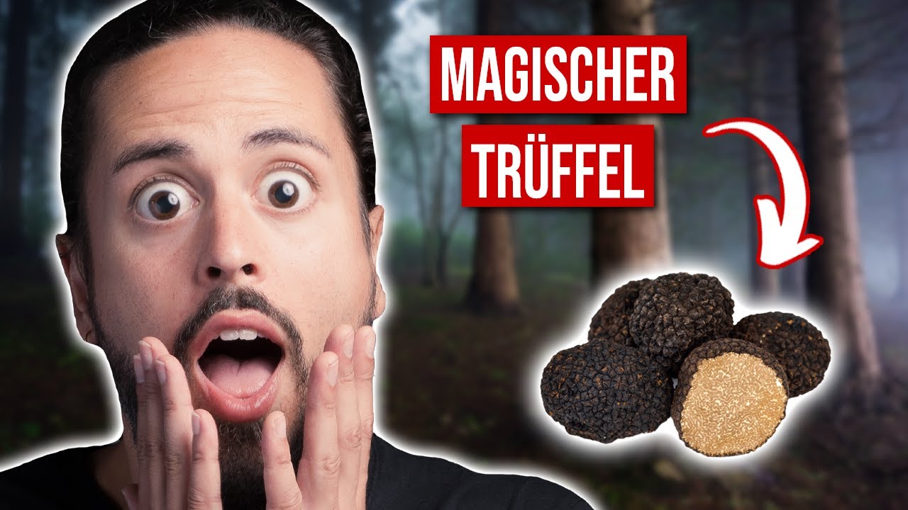 Trüffel Erfahrungsbericht - MACH NICHT DIESEN FEHLER!