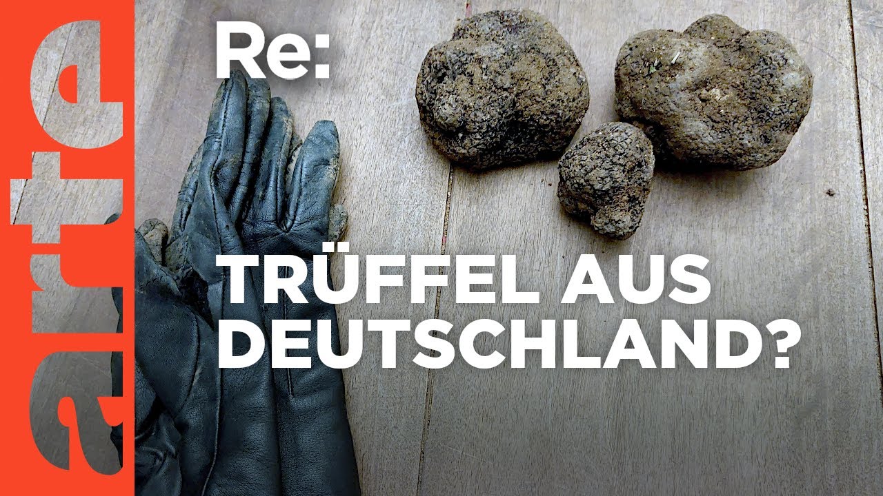 Trüffelland Deutschland | ARTE Re: