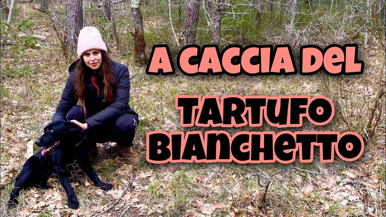 💥A caccia del TARTUFO BIANCHETTO|La Racccolta💥