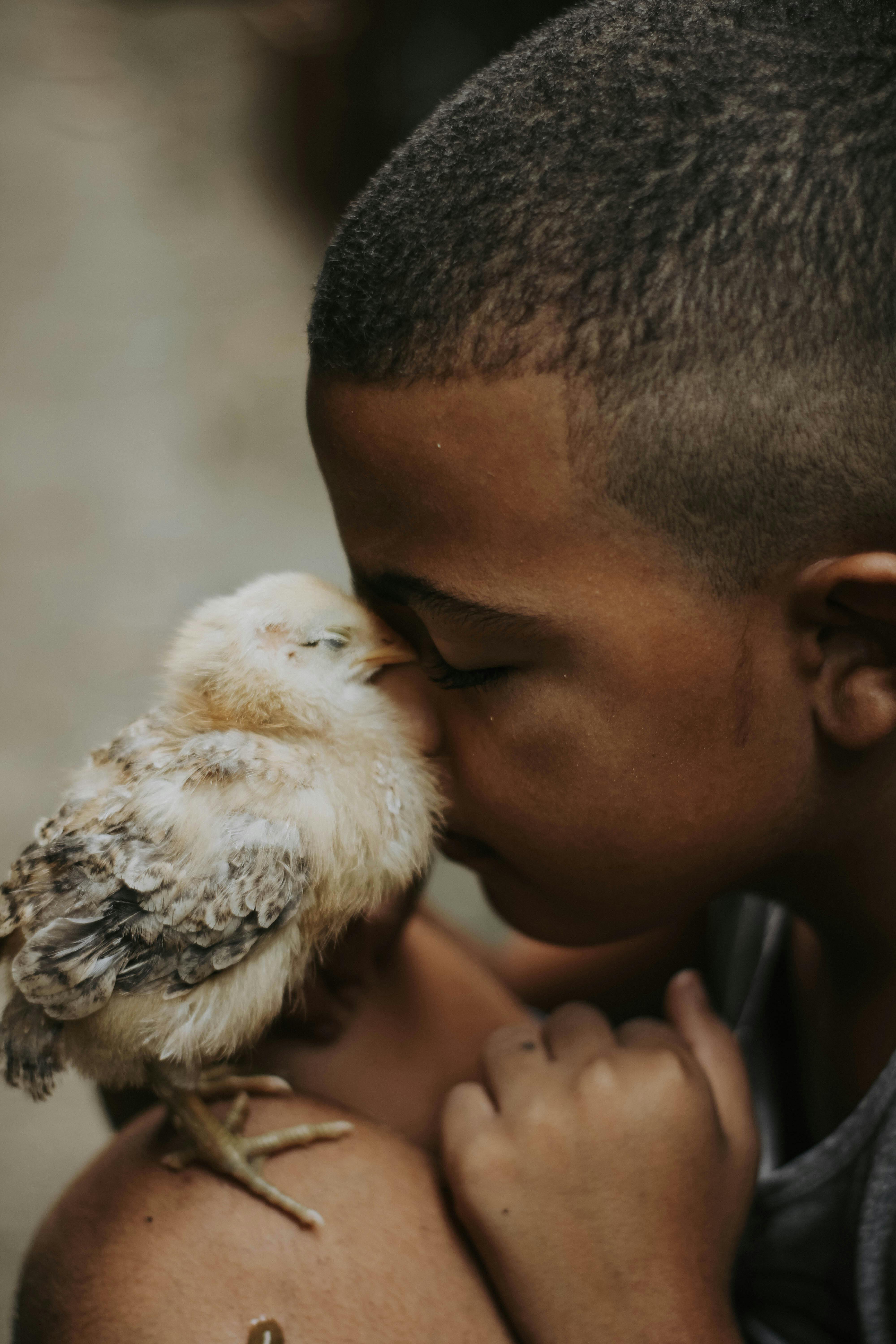 little boy cuddling face in fluffy chick