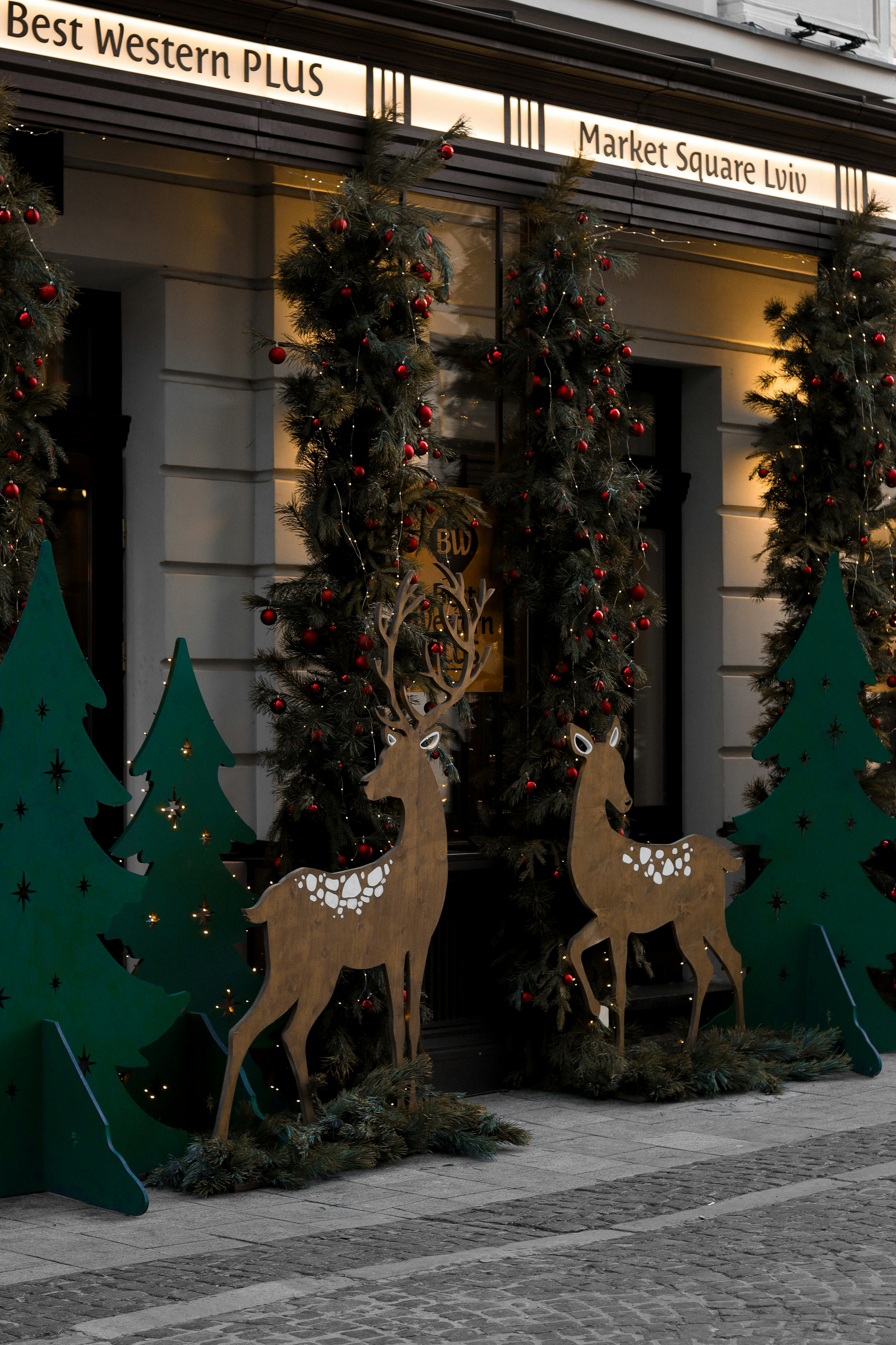 christmas decoration near building wall