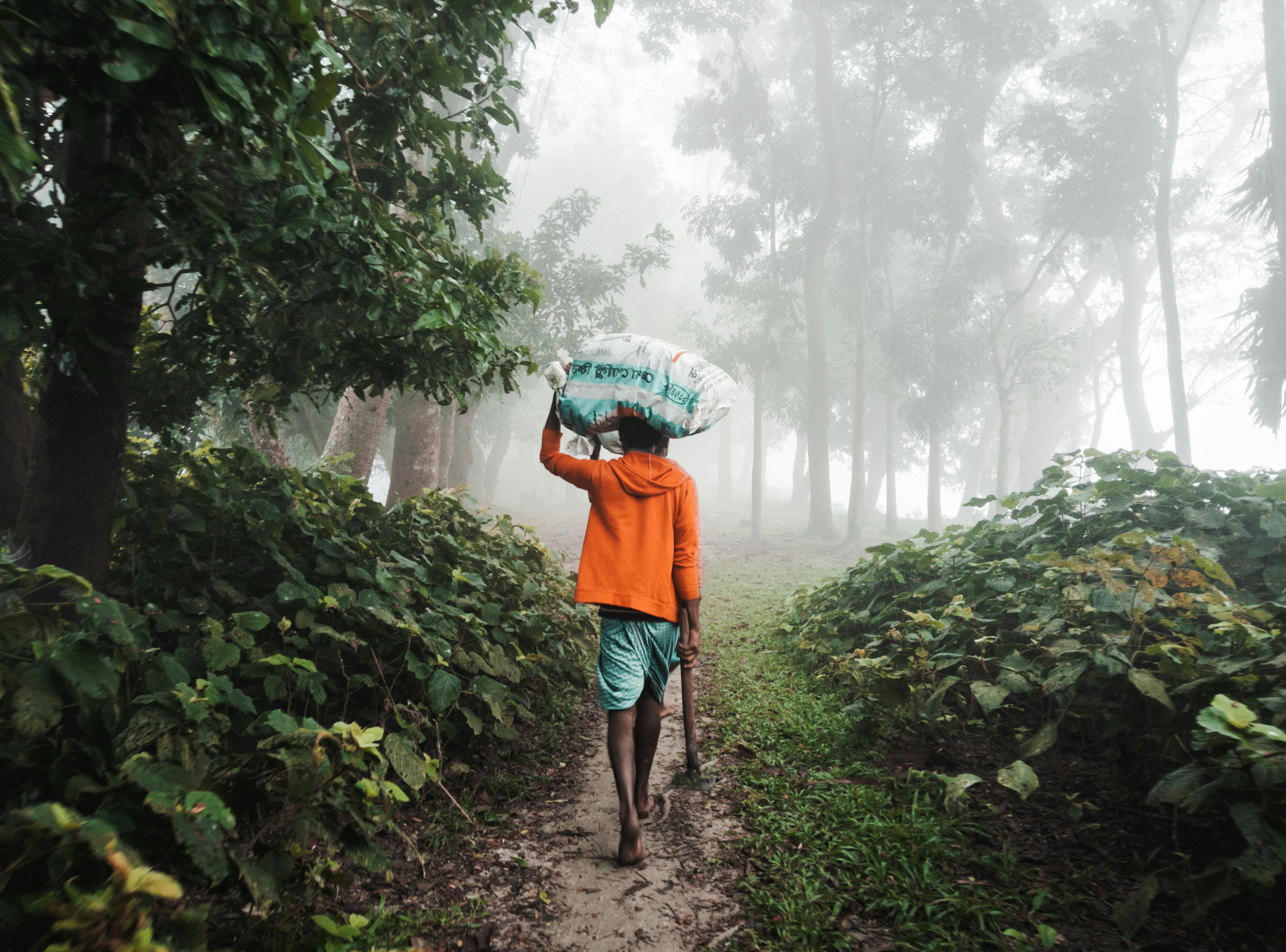 a man walking down a path in the fog with an umbrella