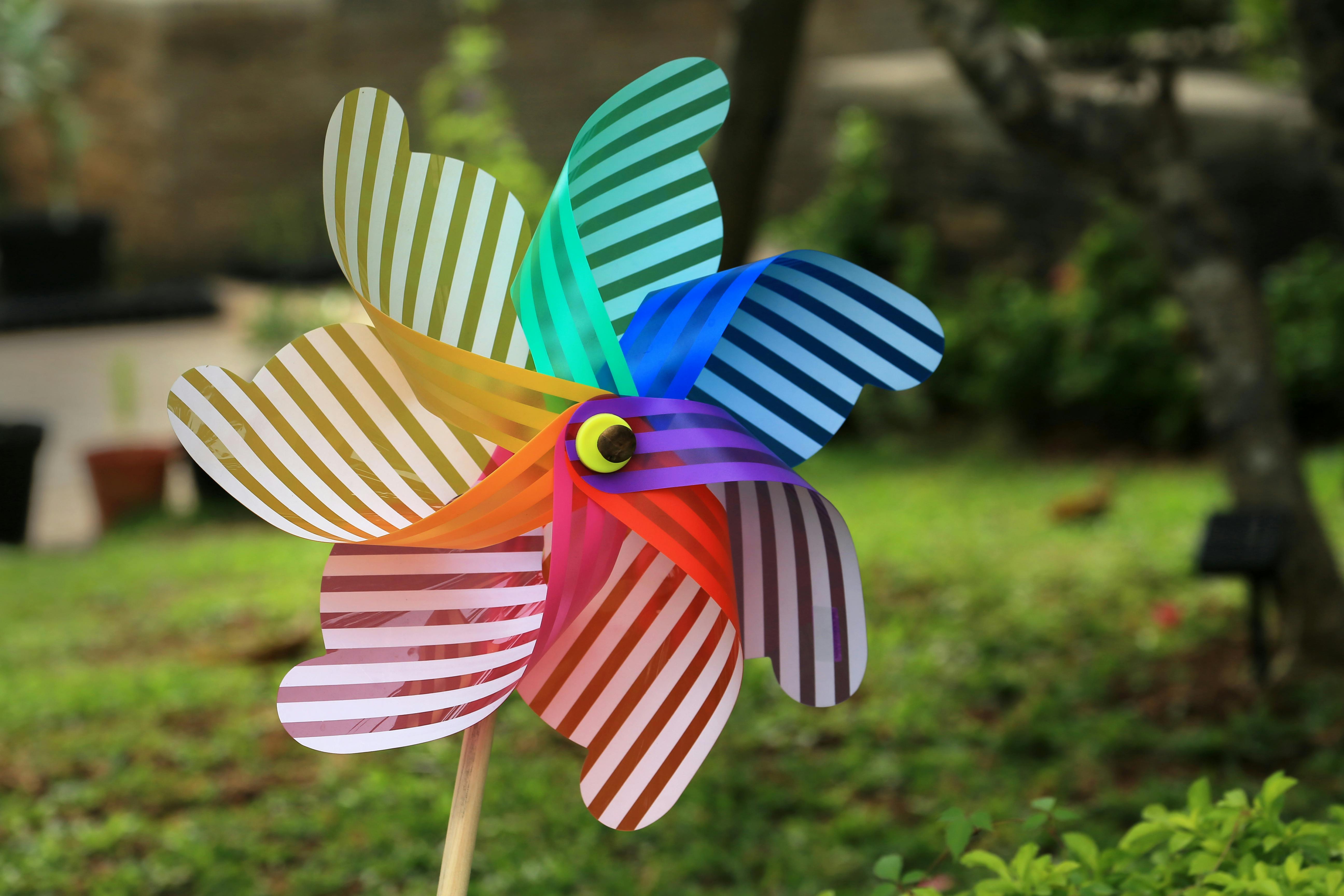 colorful fan in garden