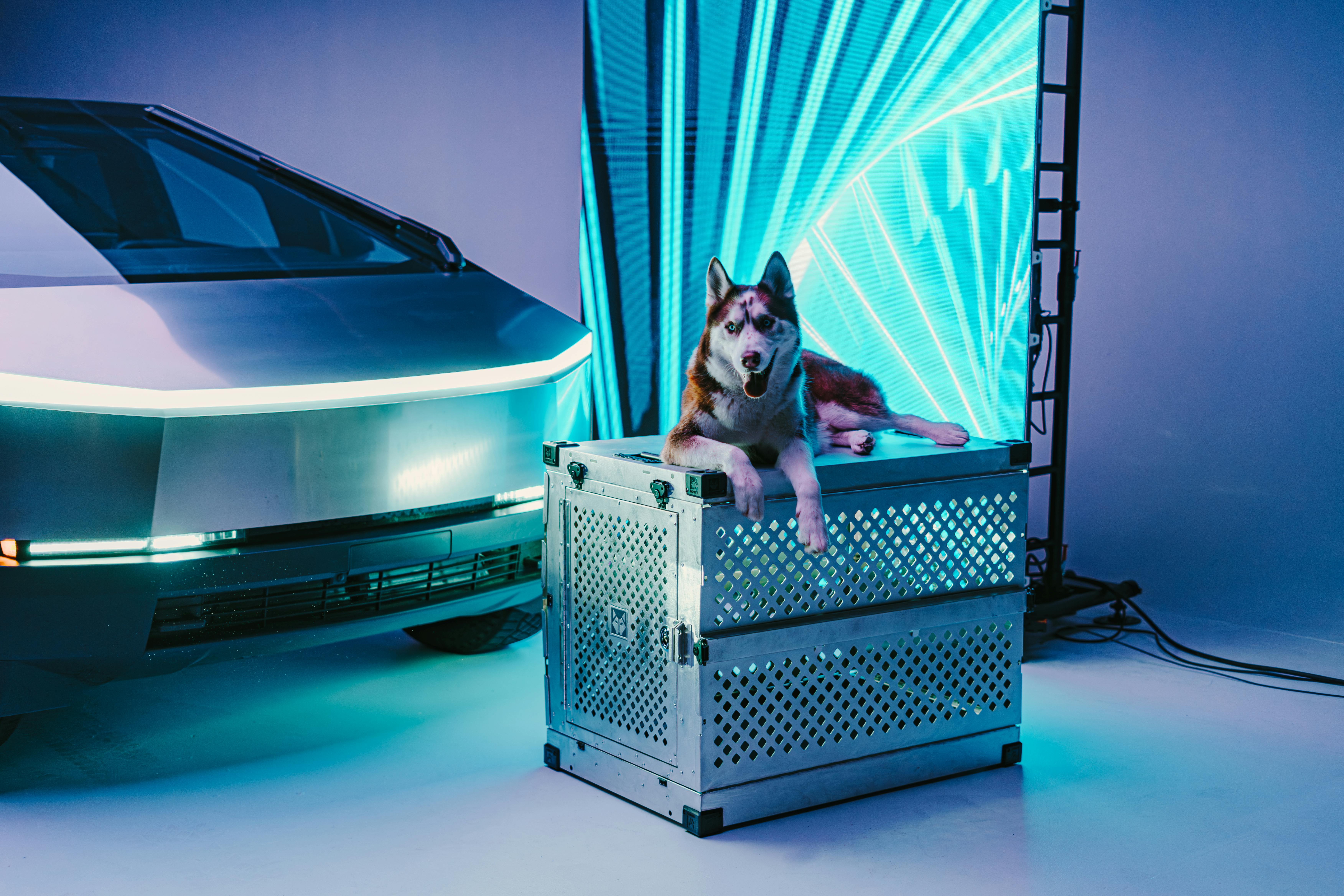 siberian husky with futuristic vehicle and dog crate