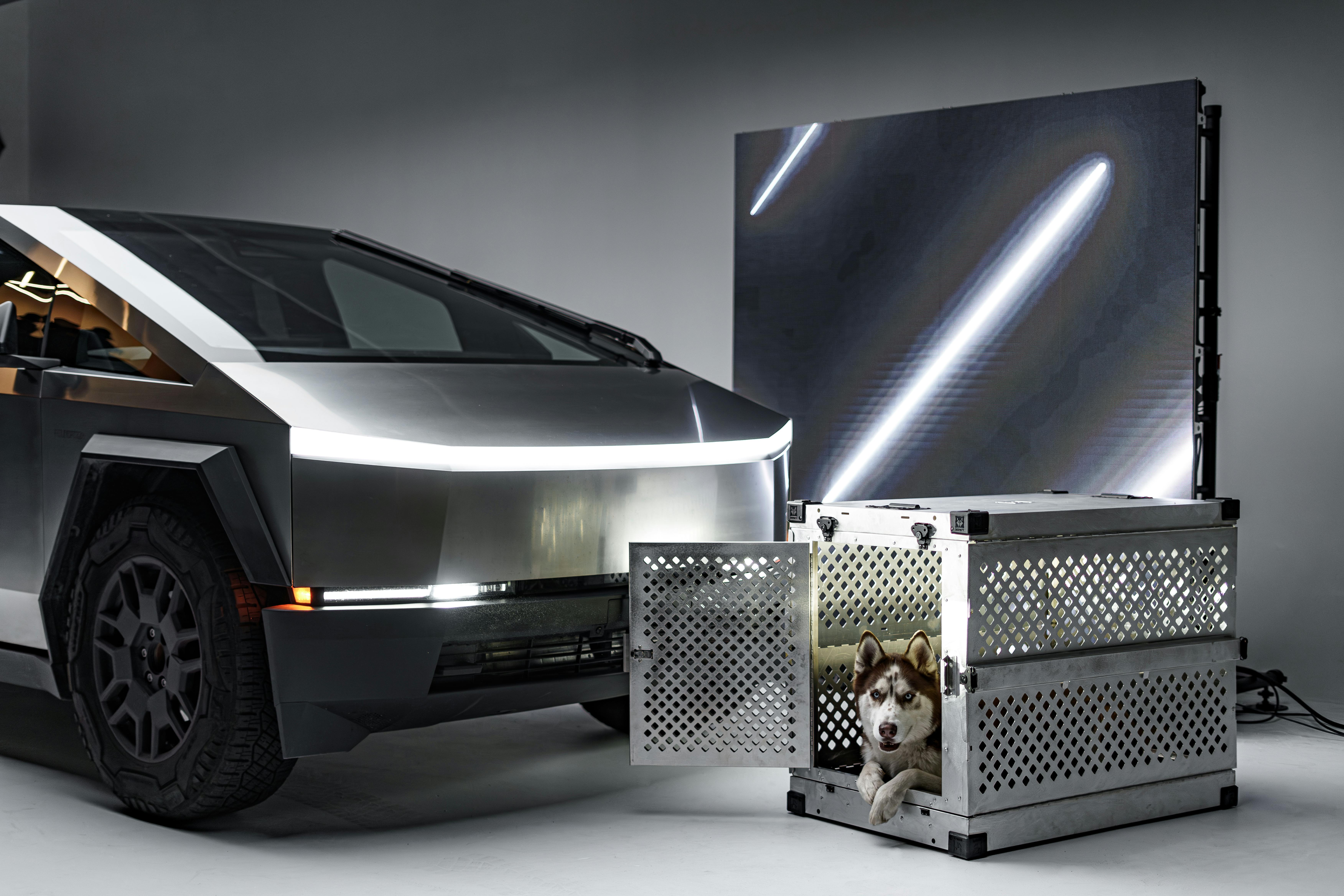 futuristic vehicle and husky in premium dog crate