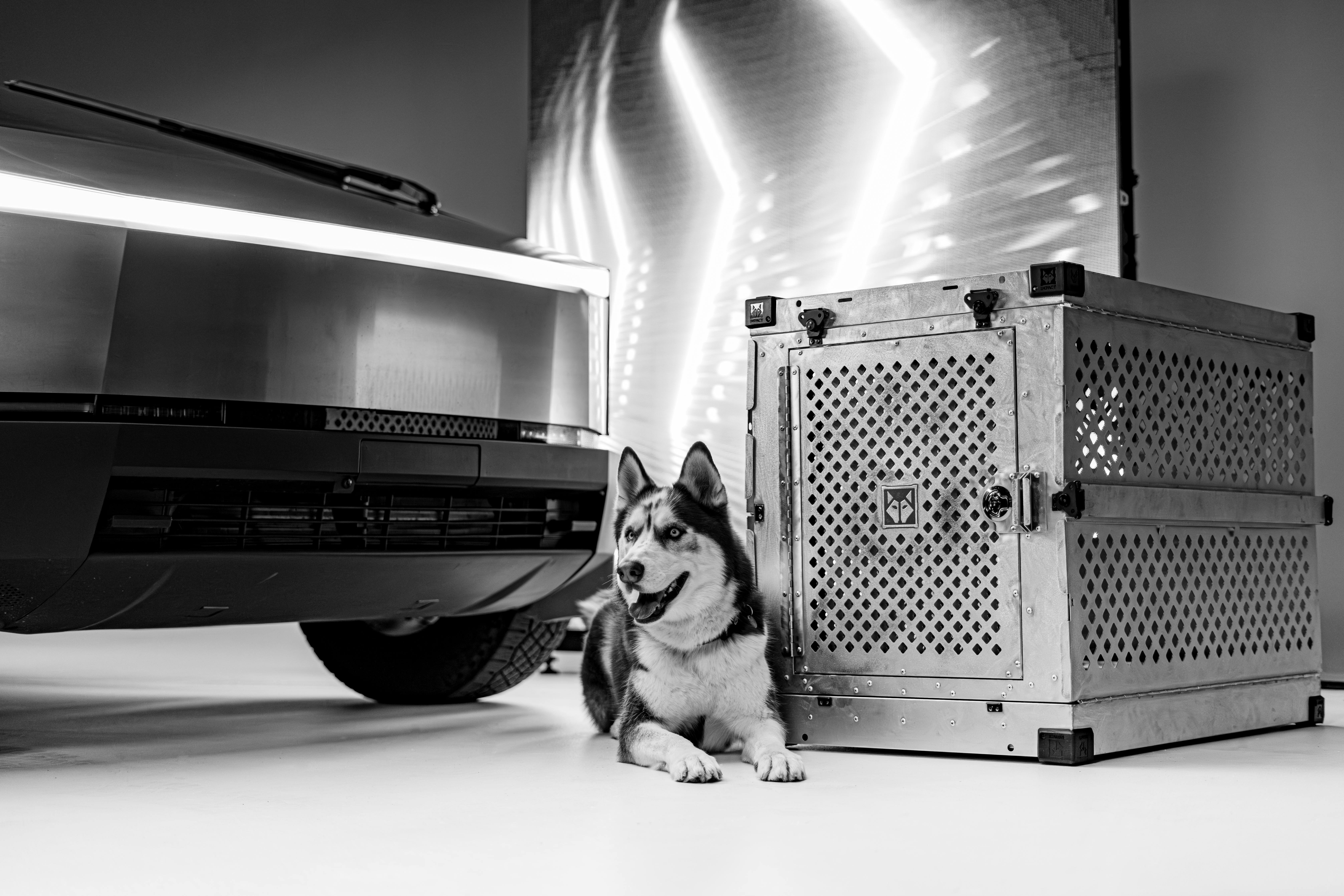 siberian husky and cybertruck in modern studio shot