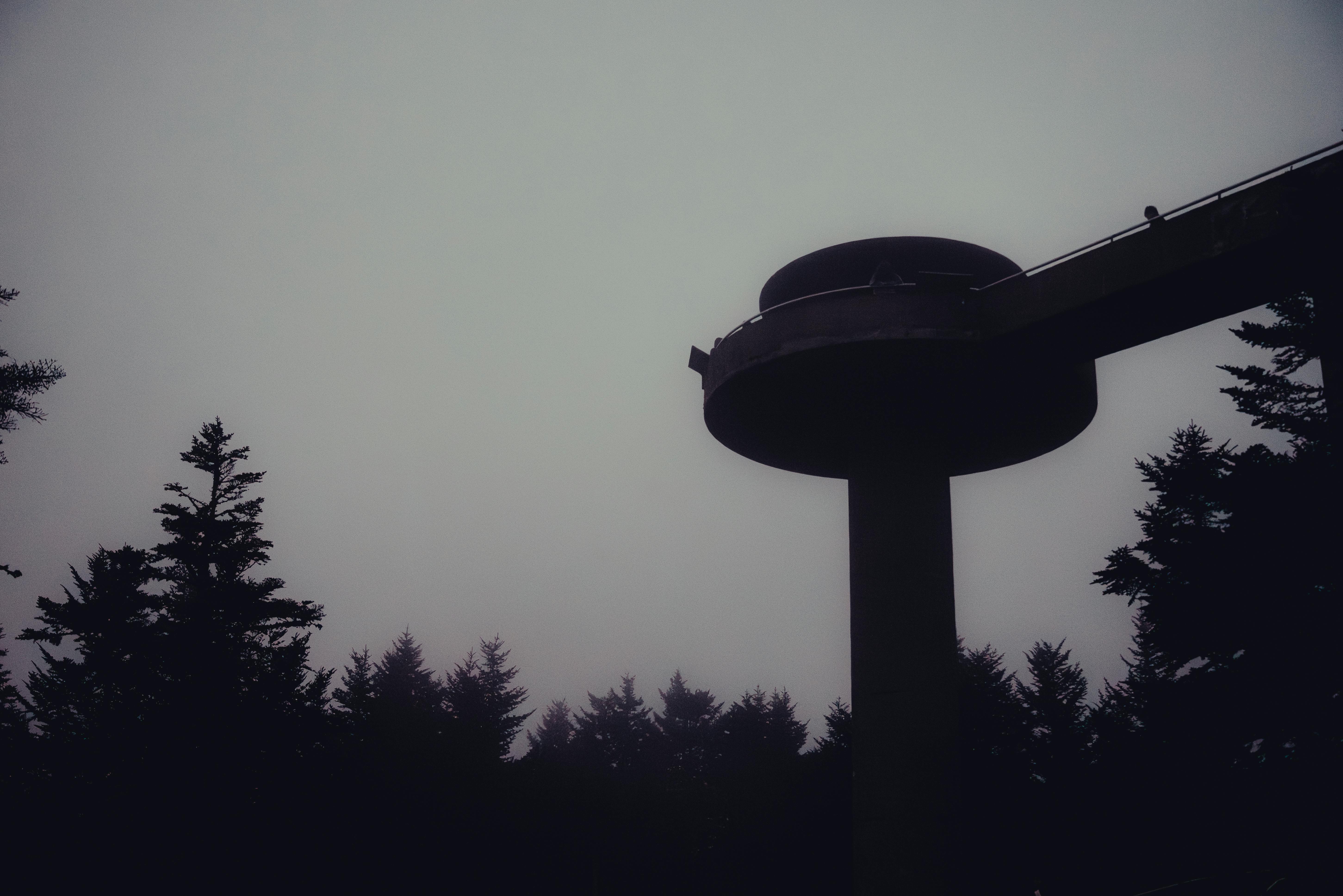 foggy morning at clingmans dome observation tower