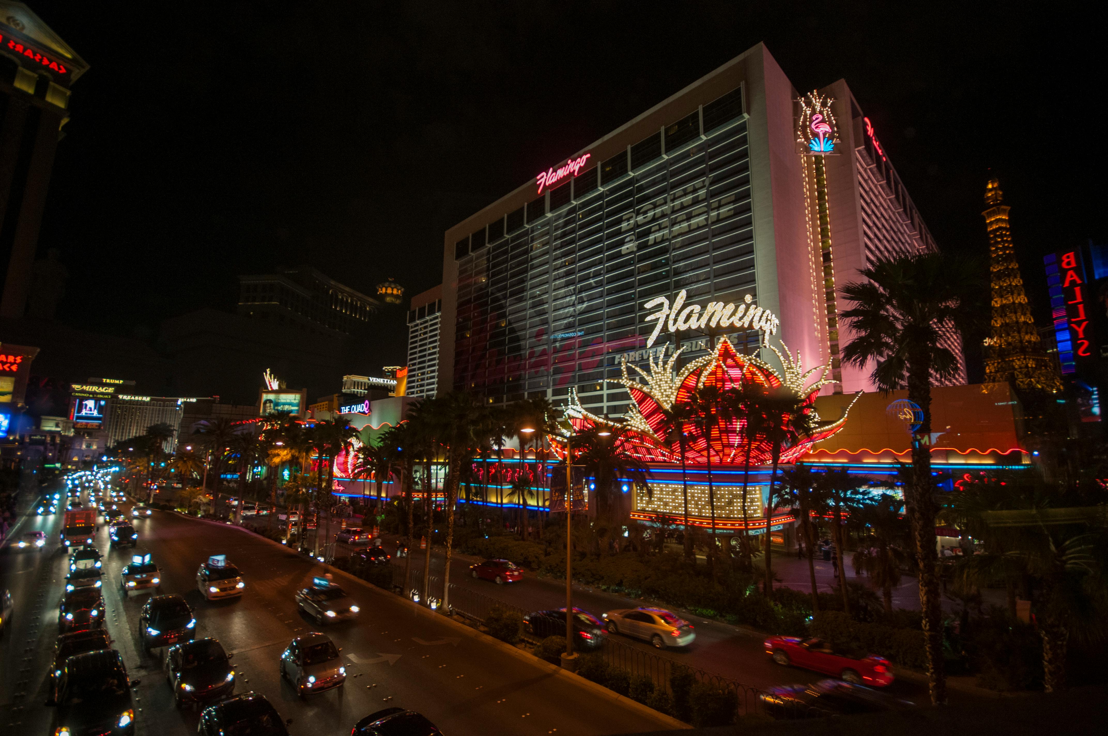 nighttime las vegas flamingo hotel scene