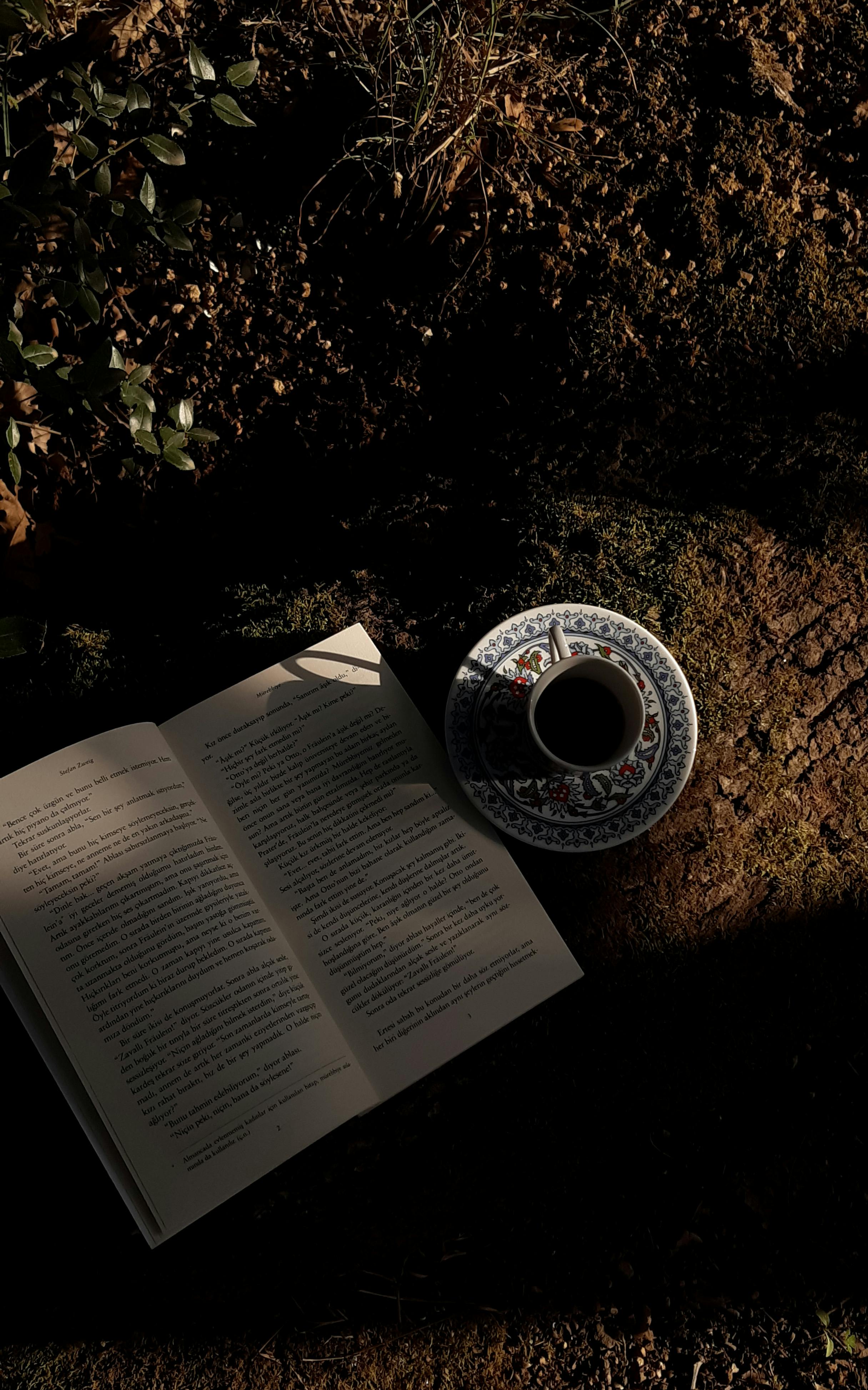 rustic coffee and book scene outdoors