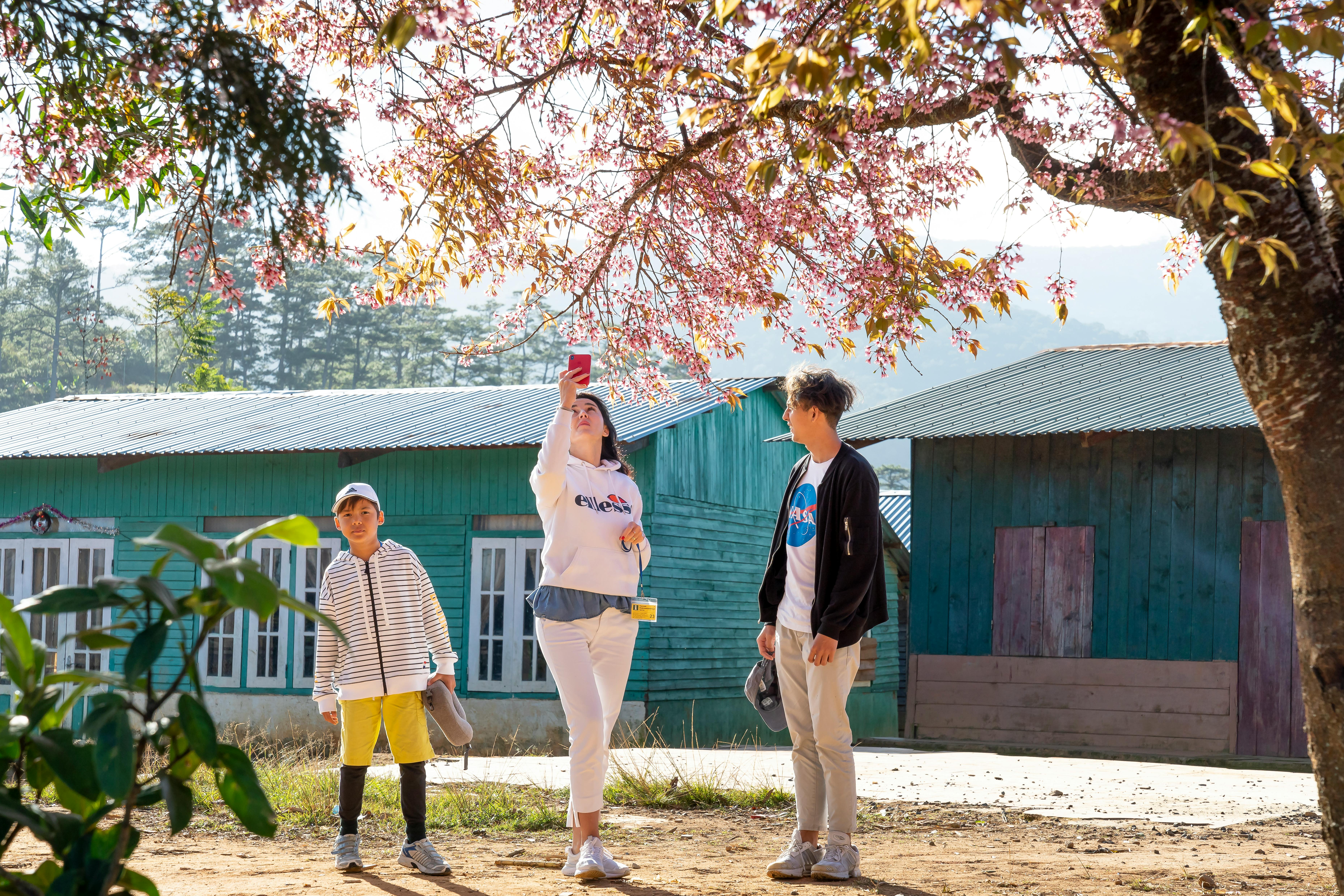 woman taking photo of blooming sakura on smartphone near men