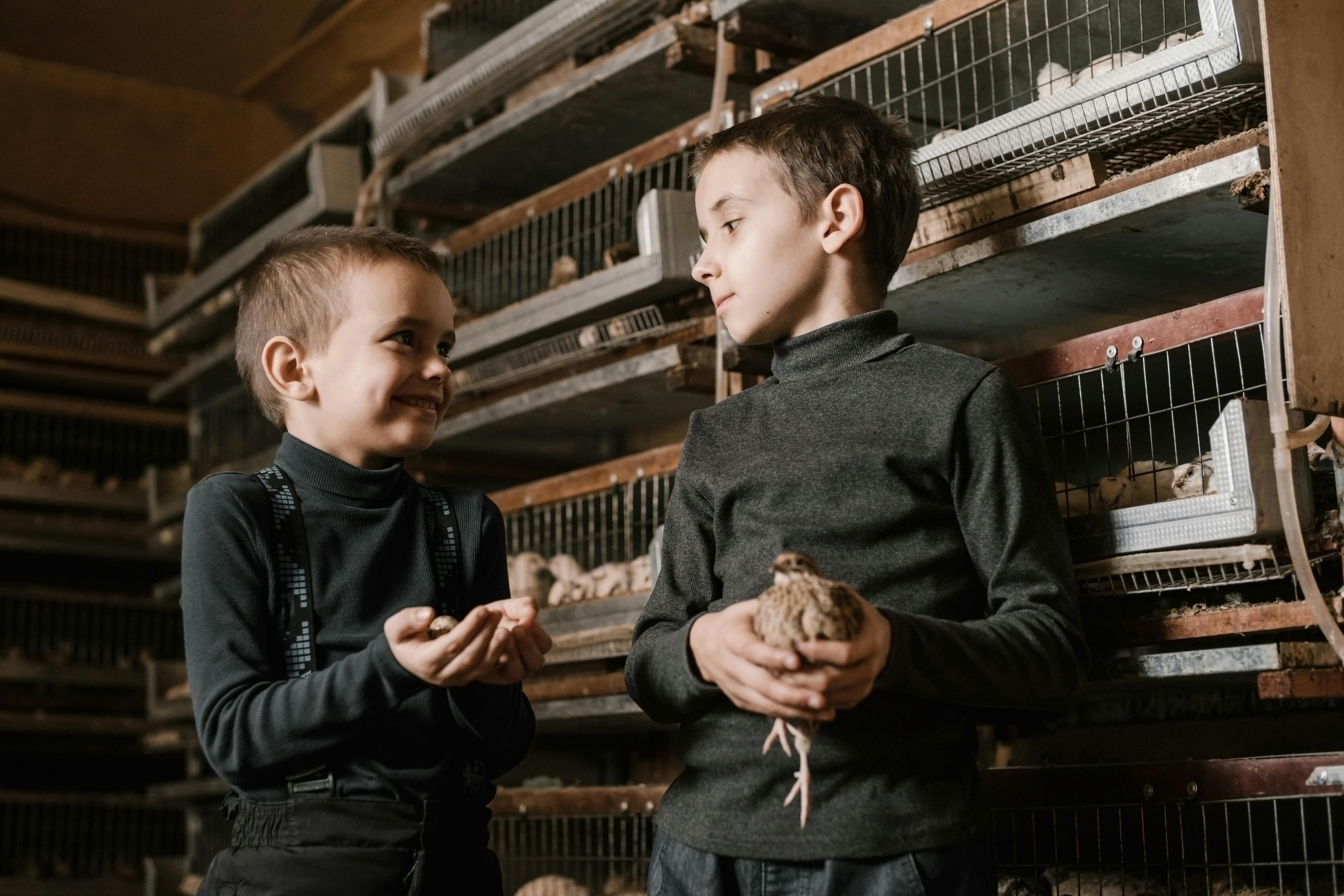 cheerful brothers with cute quail and eggs