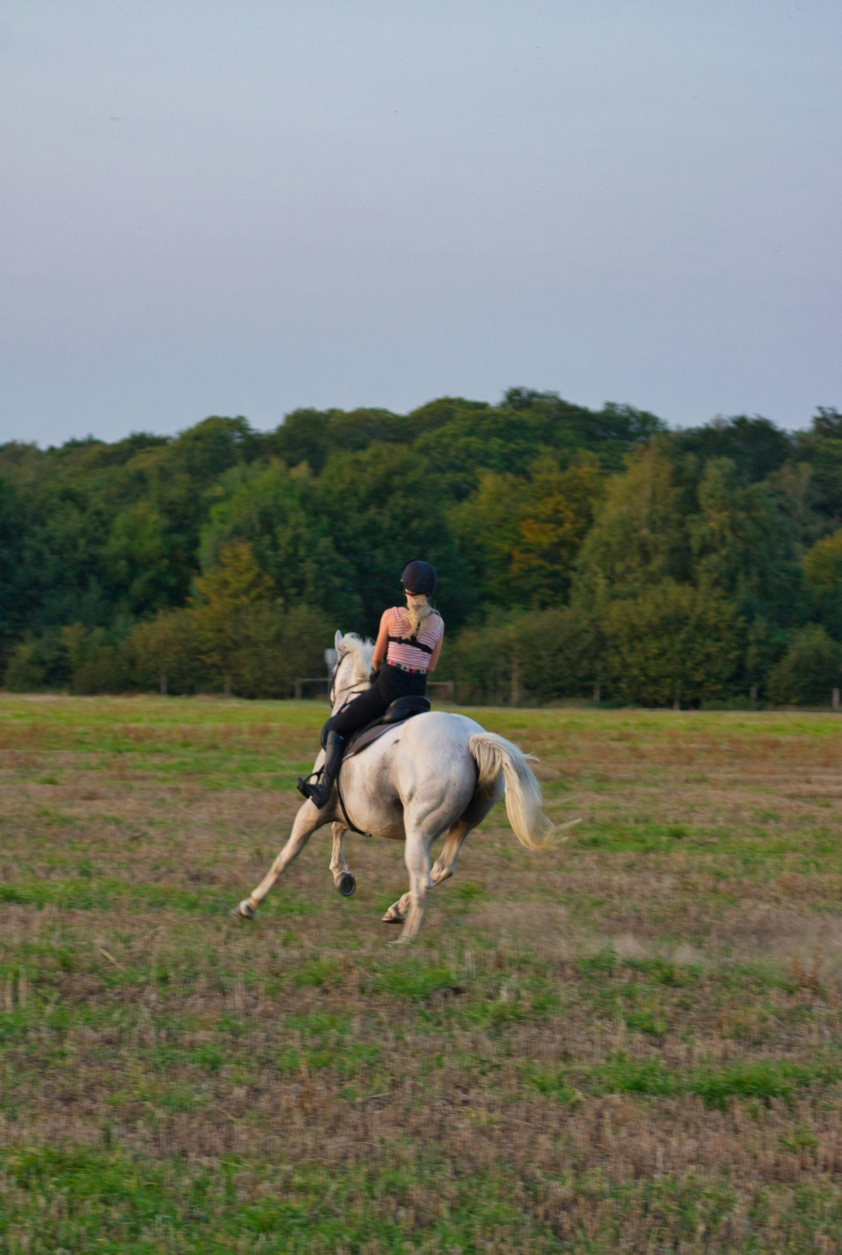 anonymous woman riding horse on meadow