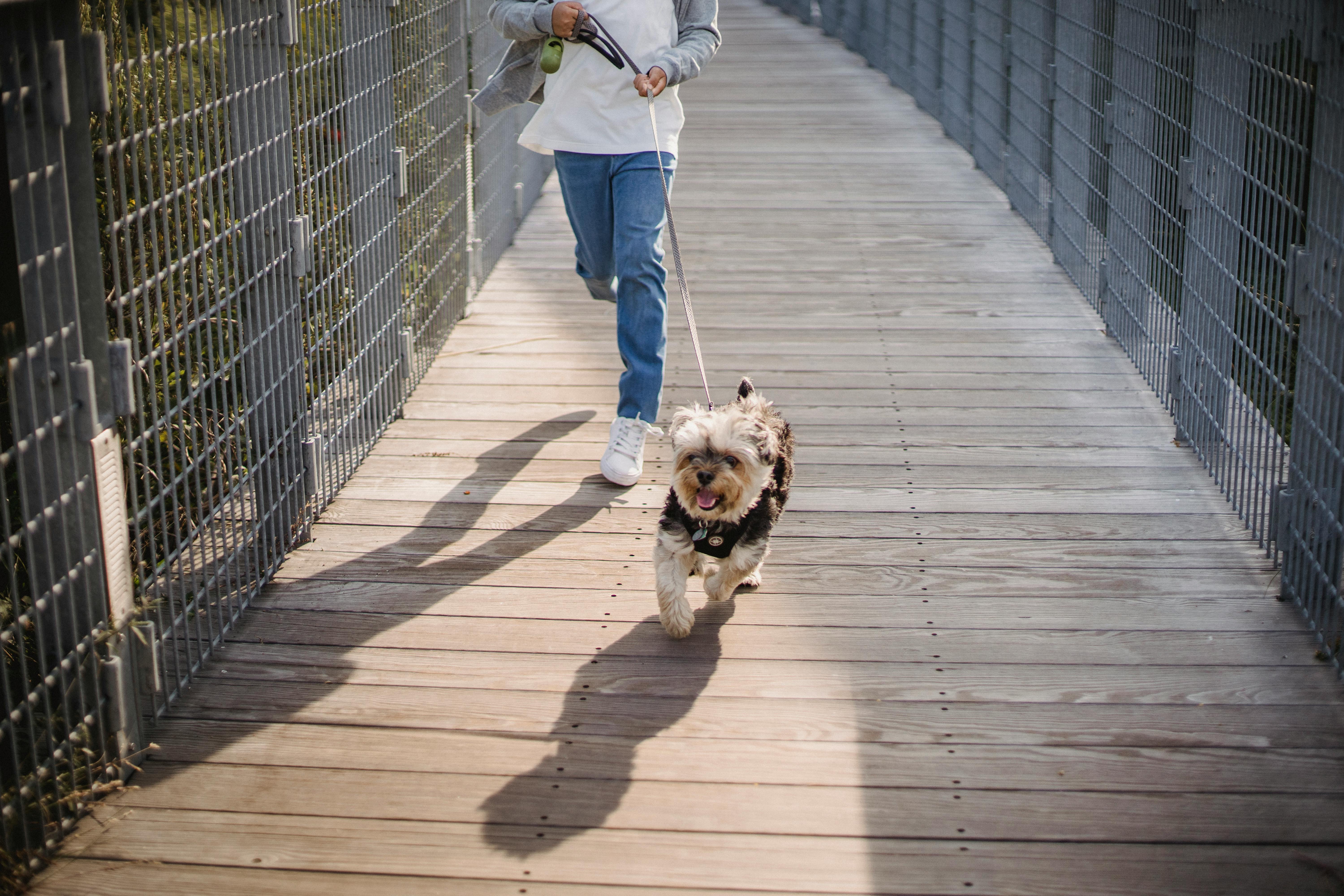 crop little boy running with dog