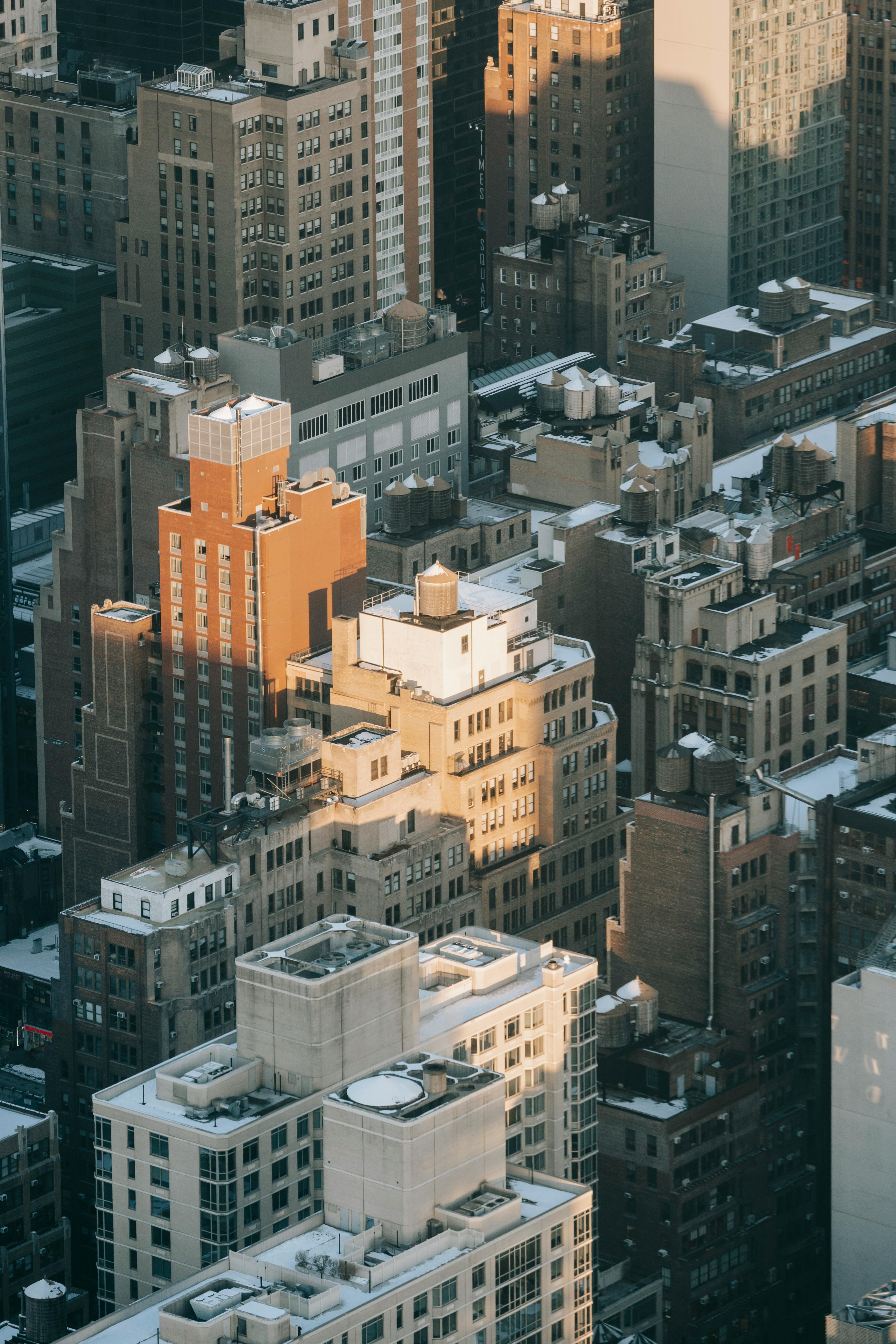 residential buildings placed in modern city in sunny day