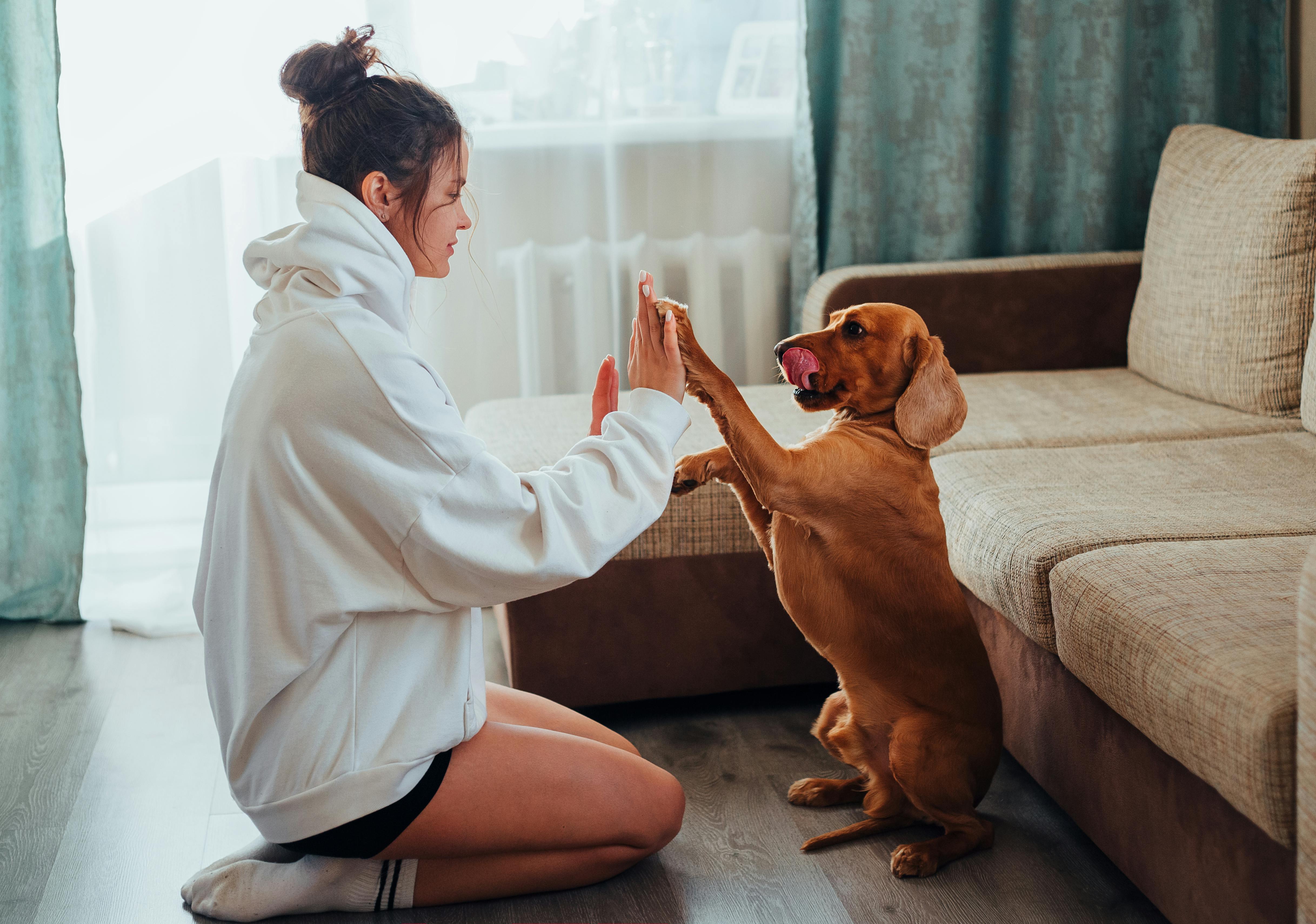 female owner playing with dog at home