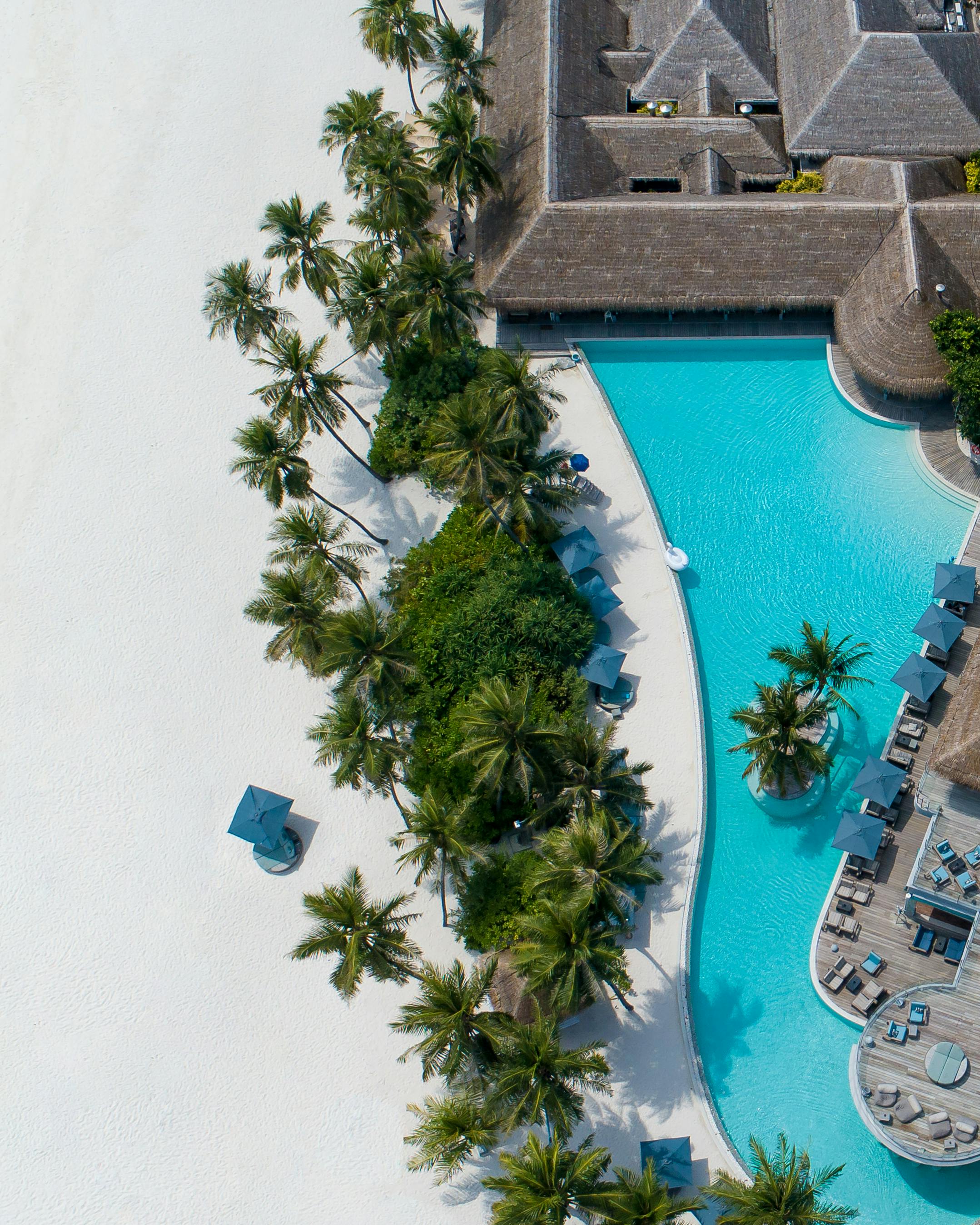 hotel with swimming pool and palms