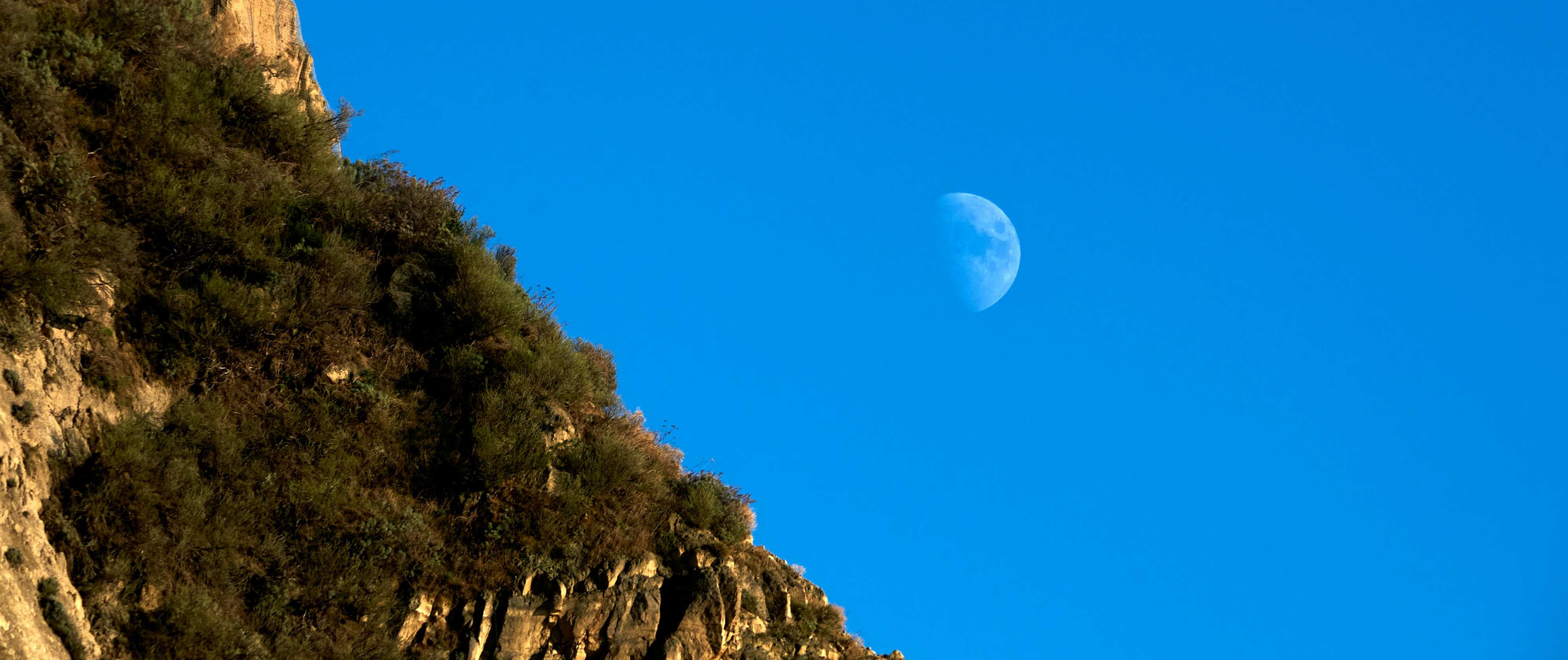 Nature produces the most astoundingly beautiful images: the swirling lava of a volcano, palm trees against a blue sky, snow-capped mountains towering above. Unsplash has magnificent , high-quality photos of all the delights that nature has to offer.