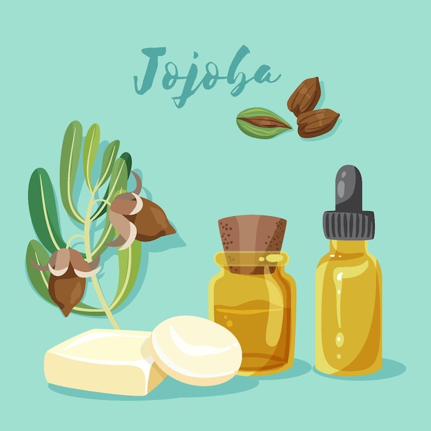 Free vector detailed jojoba element collection