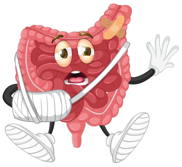 Free vector an injure intestine on white background