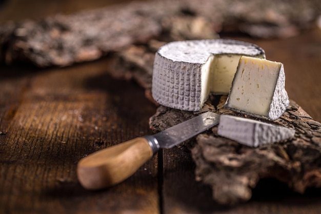 Free photo cheese of camembert