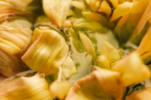 Free photo pale yellow flower in water extreme close-up