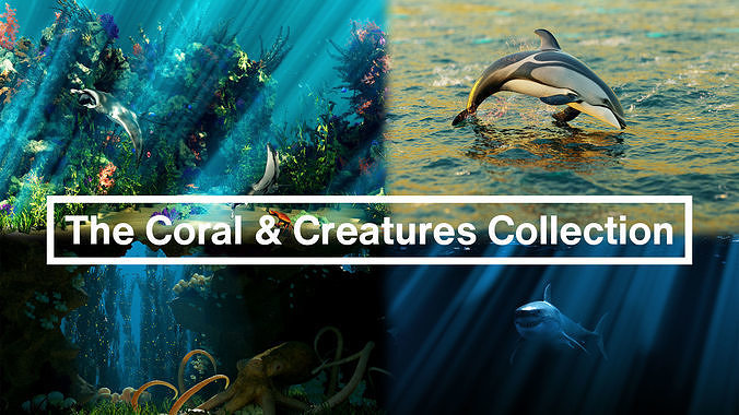 The Coral And Creatures Collection