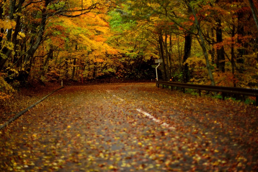 Serene autumn @十河田湖景,青森