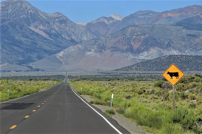 Mountain Landscape, California, USA.