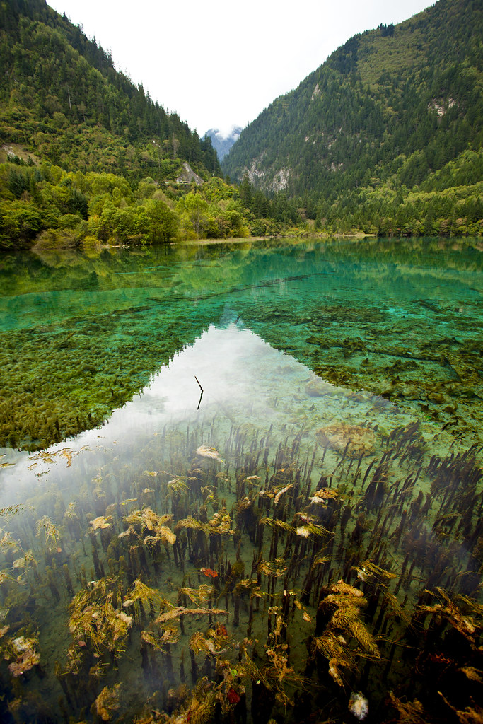 TIBET JIUZHAIGOU VALLEY SCENIC AREA 9..